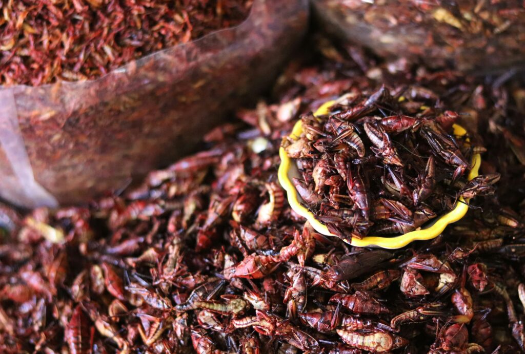 mound of chapulines in market